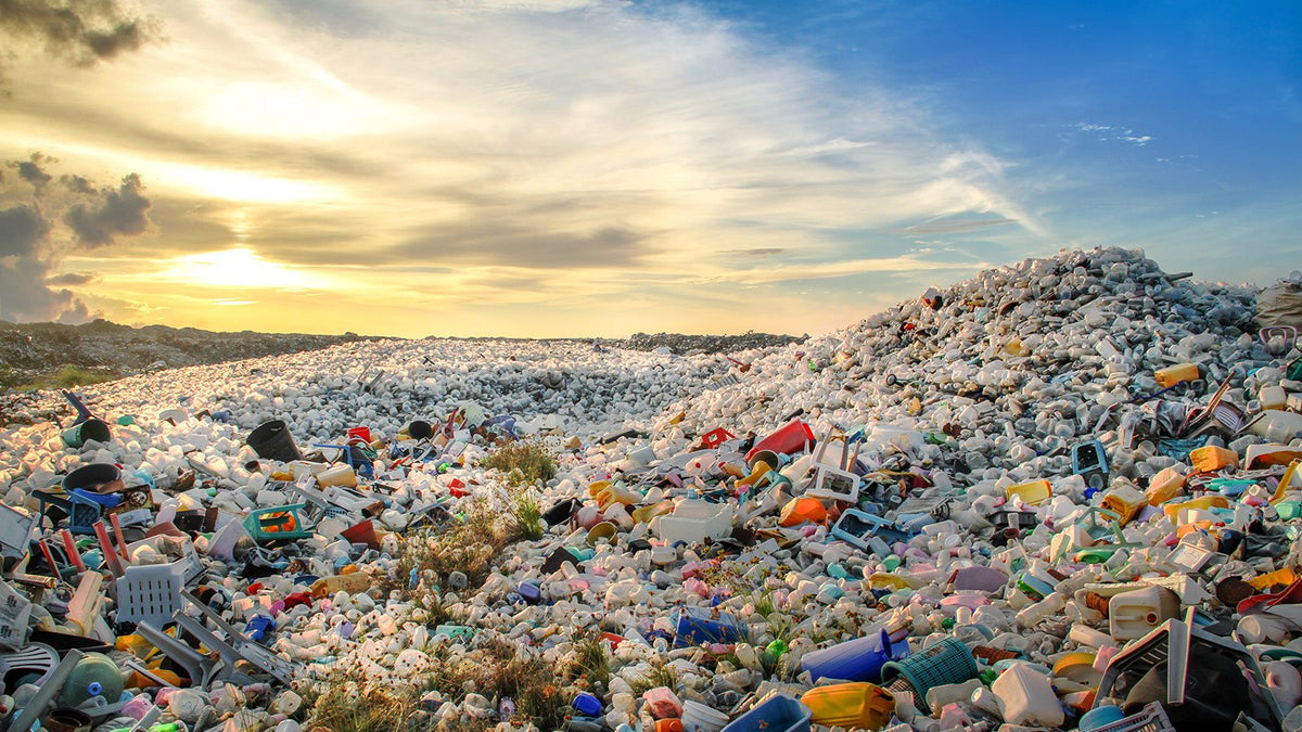 We're now Plastic Neutral ā»